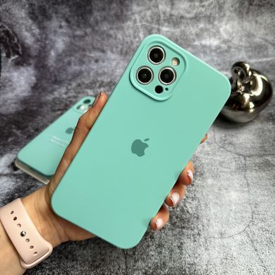 Чохол Silicone Case FULL 360 для iPhone 12 Pro Spearmint
