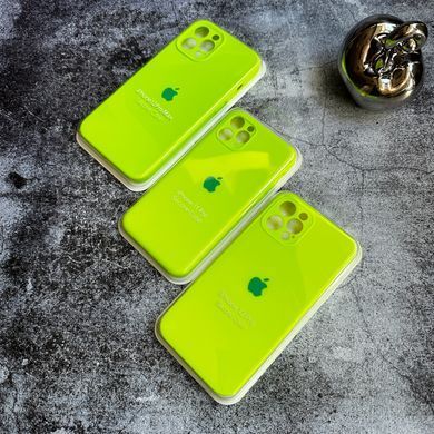 Чохол Silicone Case FULL 360 для iPhone 11 Pro Shiny green