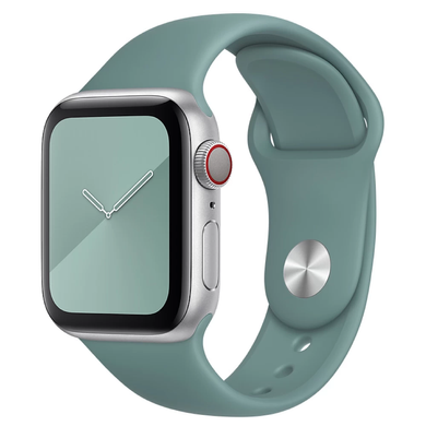 Силіконовий ремінець Watch Silicone для Apple Watch 42|44|45|46|49mm Pine Green