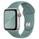 Силіконовий ремінець Watch Silicone для Apple Watch 42|44|45|46|49mm Pine Green